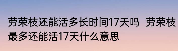 劳荣枝还能活多长时间17天吗  劳荣枝最多还能活17天什么意思