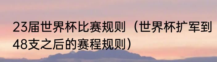 23届世界杯比赛规则（世界杯扩军到48支之后的赛程规则）