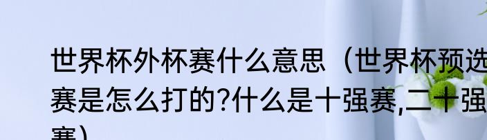 世界杯外杯赛什么意思（世界杯预选赛是怎么打的?什么是十强赛,二十强赛）