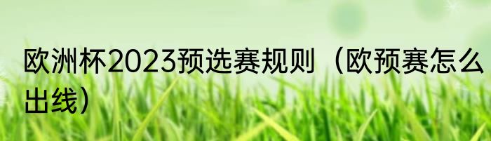欧洲杯2023预选赛规则（欧预赛怎么出线）