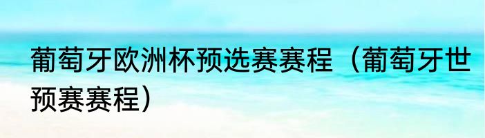 葡萄牙欧洲杯预选赛赛程（葡萄牙世预赛赛程）