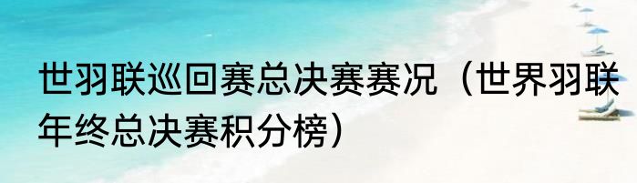 世羽联巡回赛总决赛赛况（世界羽联年终总决赛积分榜）