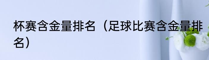 杯赛含金量排名（足球比赛含金量排名）