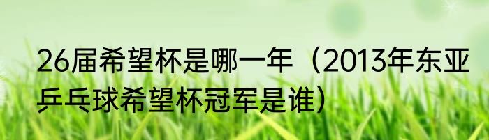 26届希望杯是哪一年（2013年东亚乒乓球希望杯冠军是谁）