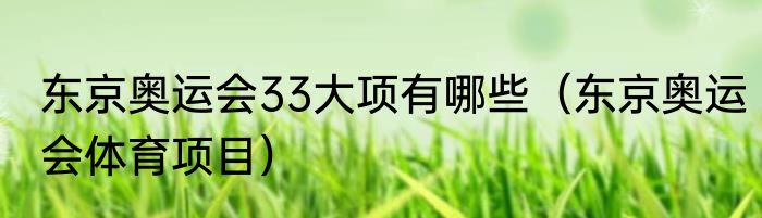 东京奥运会33大项有哪些（东京奥运会体育项目）