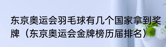 东京奥运会羽毛球有几个国家拿到奖牌（东京奥运会金牌榜历届排名）