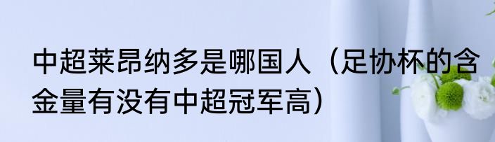 中超莱昂纳多是哪国人（足协杯的含金量有没有中超冠军高）