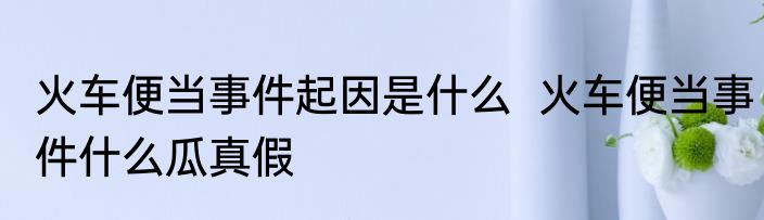 火车便当事件起因是什么  火车便当事件什么瓜真假