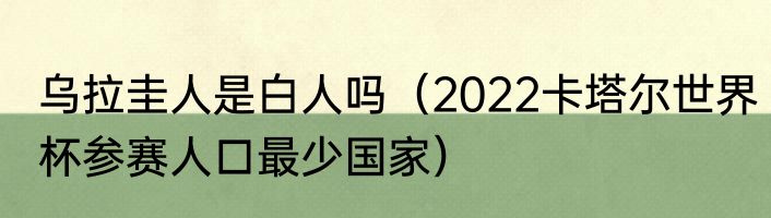 乌拉圭人是白人吗（2022卡塔尔世界杯参赛人口最少国家）