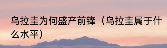 乌拉圭为何盛产前锋（乌拉圭属于什么水平）