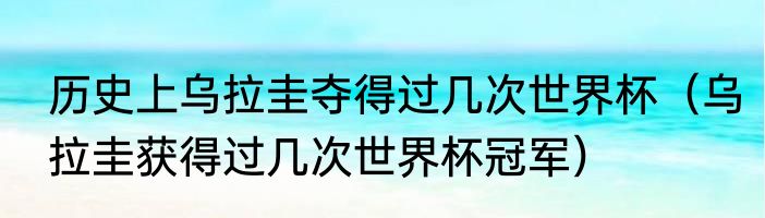 历史上乌拉圭夺得过几次世界杯（乌拉圭获得过几次世界杯冠军）
