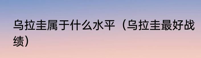 乌拉圭属于什么水平（乌拉圭最好战绩）