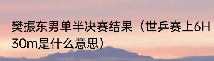 樊振东男单半决赛结果（世乒赛上6H30m是什么意思）
