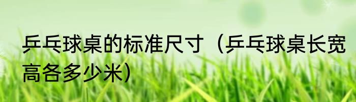 乒乓球桌的标准尺寸（乒乓球桌长宽高各多少米）