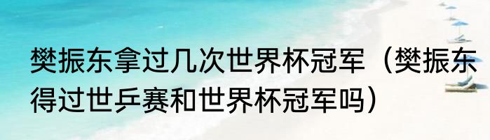 樊振东拿过几次世界杯冠军（樊振东得过世乒赛和世界杯冠军吗）