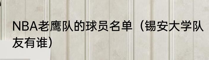 NBA老鹰队的球员名单（锡安大学队友有谁）