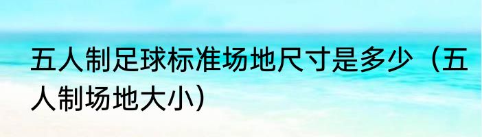五人制足球标准场地尺寸是多少（五人制场地大小）