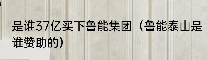 是谁37亿买下鲁能集团（鲁能泰山是谁赞助的）