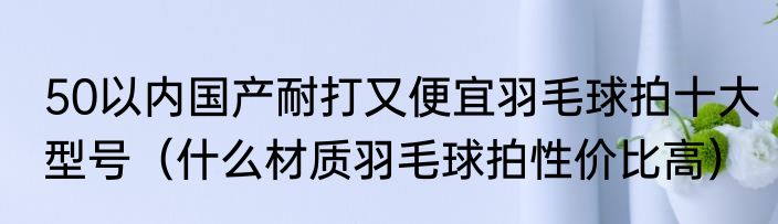 50以内国产耐打又便宜羽毛球拍十大型号（什么材质羽毛球拍性价比高）