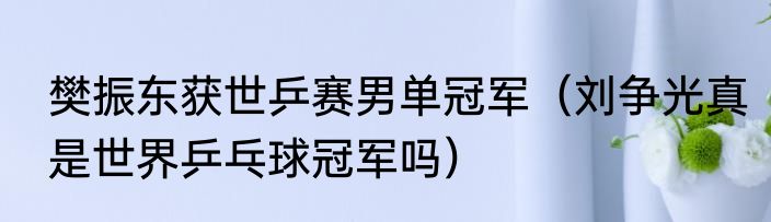 樊振东获世乒赛男单冠军（刘争光真是世界乒乓球冠军吗）