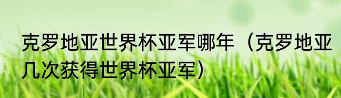 克罗地亚世界杯亚军哪年（克罗地亚几次获得世界杯亚军）