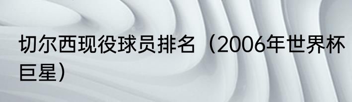 切尔西现役球员排名（2006年世界杯巨星）
