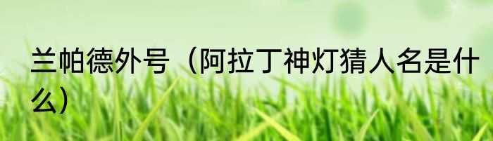 兰帕德外号（阿拉丁神灯猜人名是什么）