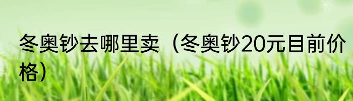 冬奥钞去哪里卖（冬奥钞20元目前价格）