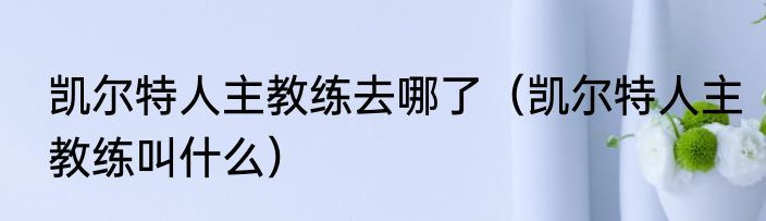 凯尔特人主教练去哪了（凯尔特人主教练叫什么）