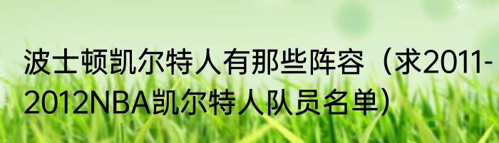 波士顿凯尔特人有那些阵容（求2011-2012NBA凯尔特人队员名单）