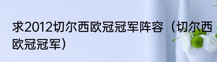 求2012切尔西欧冠冠军阵容（切尔西欧冠冠军）