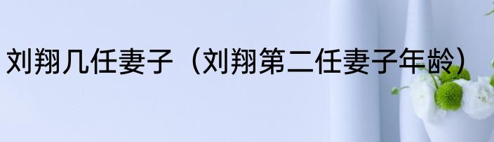 刘翔几任妻子（刘翔第二任妻子年龄）