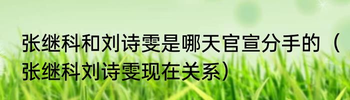 张继科和刘诗雯是哪天官宣分手的（张继科刘诗雯现在关系）