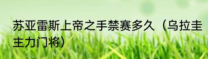 苏亚雷斯上帝之手禁赛多久（乌拉圭主力门将）