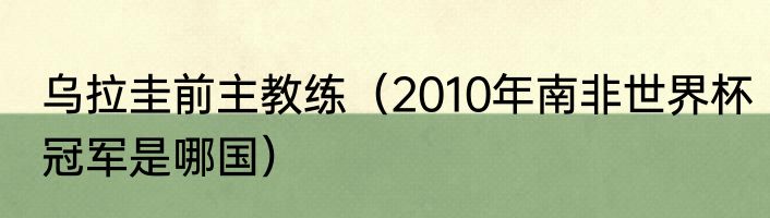 乌拉圭前主教练（2010年南非世界杯冠军是哪国）