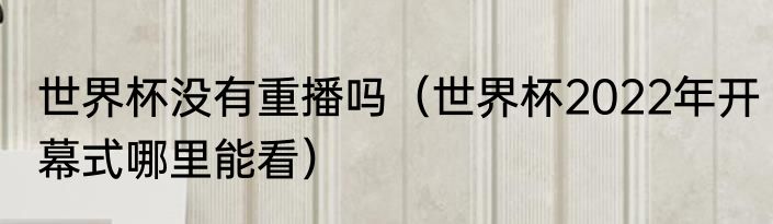 世界杯没有重播吗（世界杯2022年开幕式哪里能看）