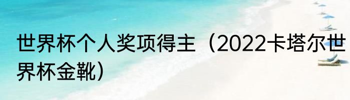 世界杯个人奖项得主（2022卡塔尔世界杯金靴）