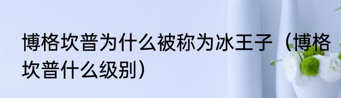 博格坎普为什么被称为冰王子（博格坎普什么级别）