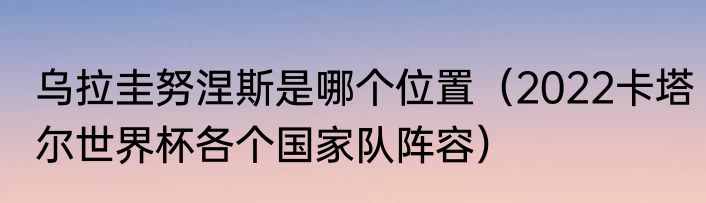 乌拉圭努涅斯是哪个位置（2022卡塔尔世界杯各个国家队阵容）