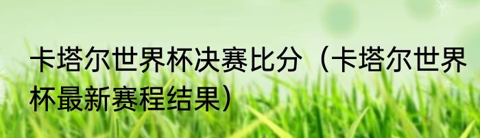 卡塔尔世界杯决赛比分（卡塔尔世界杯最新赛程结果）