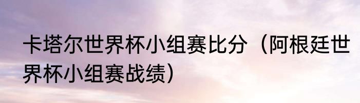 卡塔尔世界杯小组赛比分（阿根廷世界杯小组赛战绩）