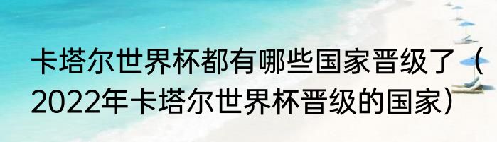 卡塔尔世界杯都有哪些国家晋级了（2022年卡塔尔世界杯晋级的国家）