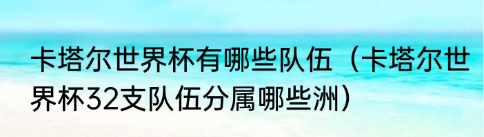 卡塔尔世界杯有哪些队伍（卡塔尔世界杯32支队伍分属哪些洲）