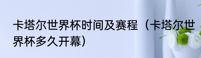 卡塔尔世界杯时间及赛程（卡塔尔世界杯多久开幕）