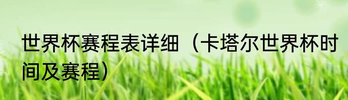 世界杯赛程表详细（卡塔尔世界杯时间及赛程）