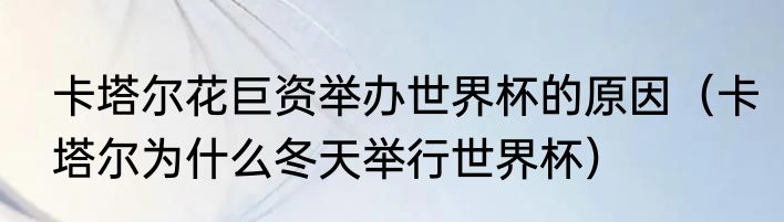 卡塔尔花巨资举办世界杯的原因（卡塔尔为什么冬天举行世界杯）