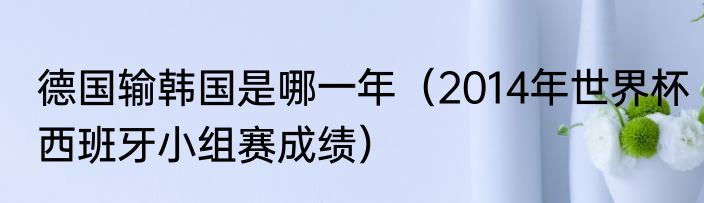 德国输韩国是哪一年（2014年世界杯西班牙小组赛成绩）