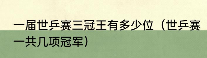 一届世乒赛三冠王有多少位（世乒赛一共几项冠军）