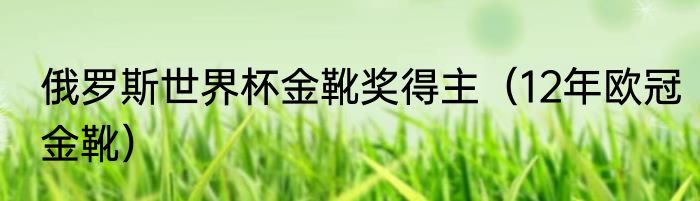 俄罗斯世界杯金靴奖得主（12年欧冠金靴）