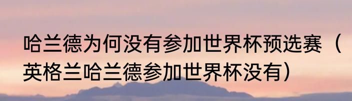 哈兰德为何没有参加世界杯预选赛（英格兰哈兰德参加世界杯没有）